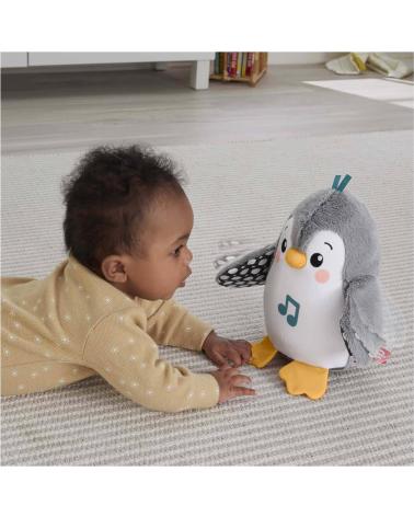 FISHER-PRICE PELUCHE MUSICALE PINGUINO PER NEONATI MULTICOLOR