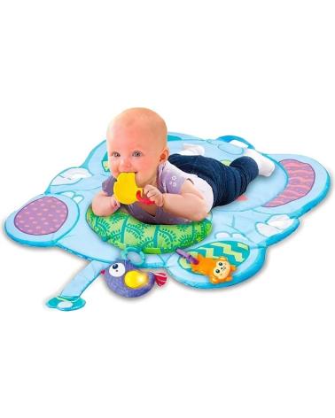 VITECH 0-12 MESES EN COLOR PARA JUGUETES MULTICOLOR