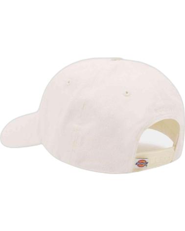 Home-DICKIES-GORRA-HARDWICK-CLOUD-