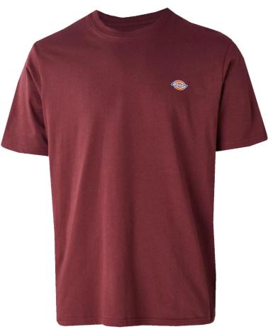 T-SHIRT DICKIES MAPLETON SS ANDORRA NAN
