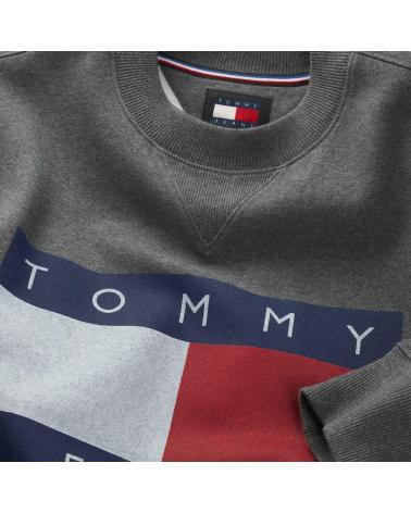 TOMMY HILFIGER SUDADERAS DE CHICO DM0DM19756 GRIS