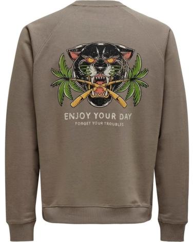 ONLY SONS SUDADERAS DE CHICO 22030618 GRIS