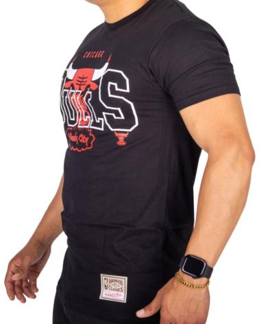 MITCHELL NESS CAMISETA MICHELLE NESS NBA CHICAGO BULLS NEVER NEGRO