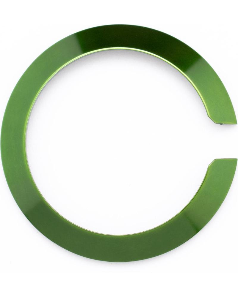 GLAM ROCK BISEL PARA RELOJ GC30216