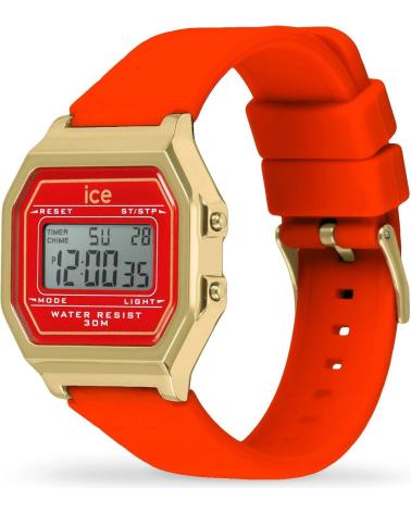 ICE 022070 ROJO