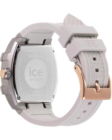 ICE 022862 GRIS