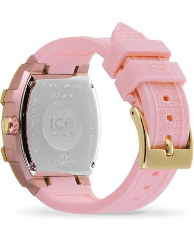 ICE 022863 ROSA