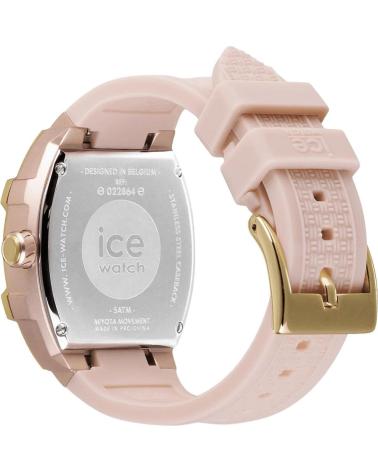 ICE 022864 ROSA