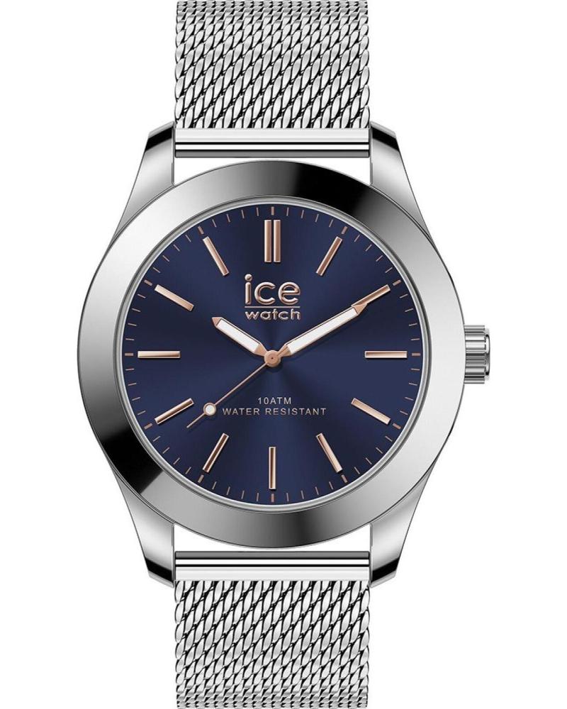 ICE 024748 GRIS