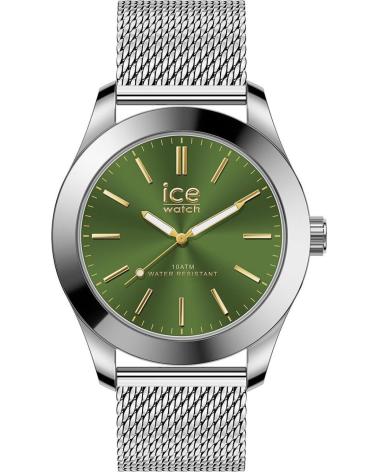 ICE 024749 GRIS