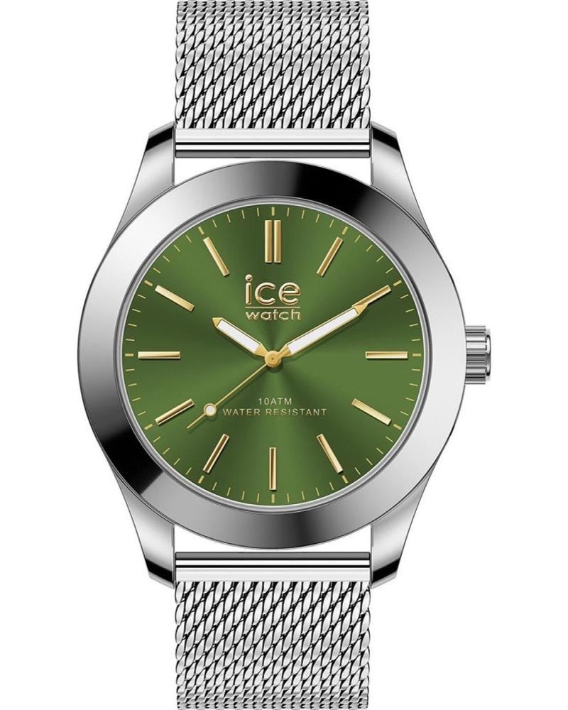 ICE 024749 GRIS