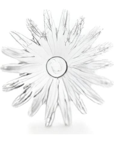 SECRECY I8648CDAWA900