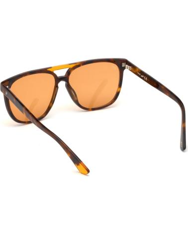 WEB EYEWEAR WE0263-5956J
