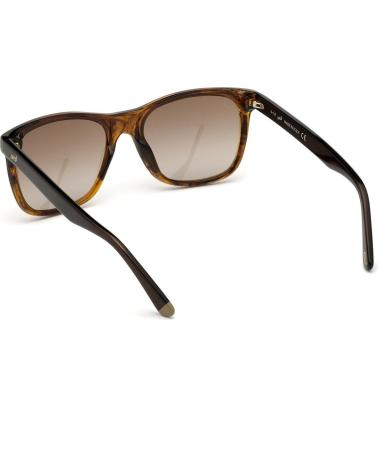 WEB EYEWEAR WE0279-5652G