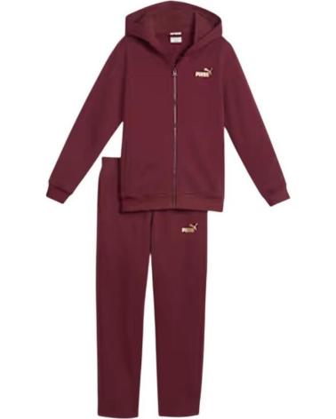 PUMA TRAININGSANZUG HOODED SWEA METALLIC GRANATROT 689729-96 GRANATE