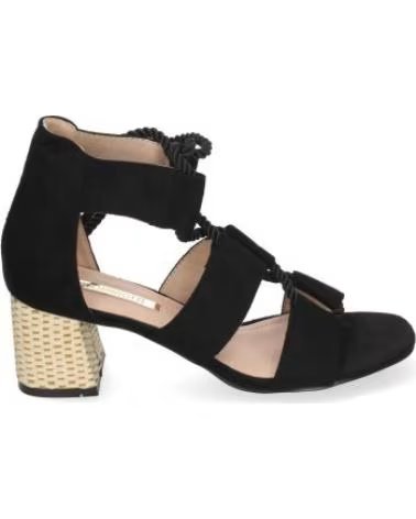 SPORT3PUNTO0 1CE-0240-NEGRO VARIOS COLORES