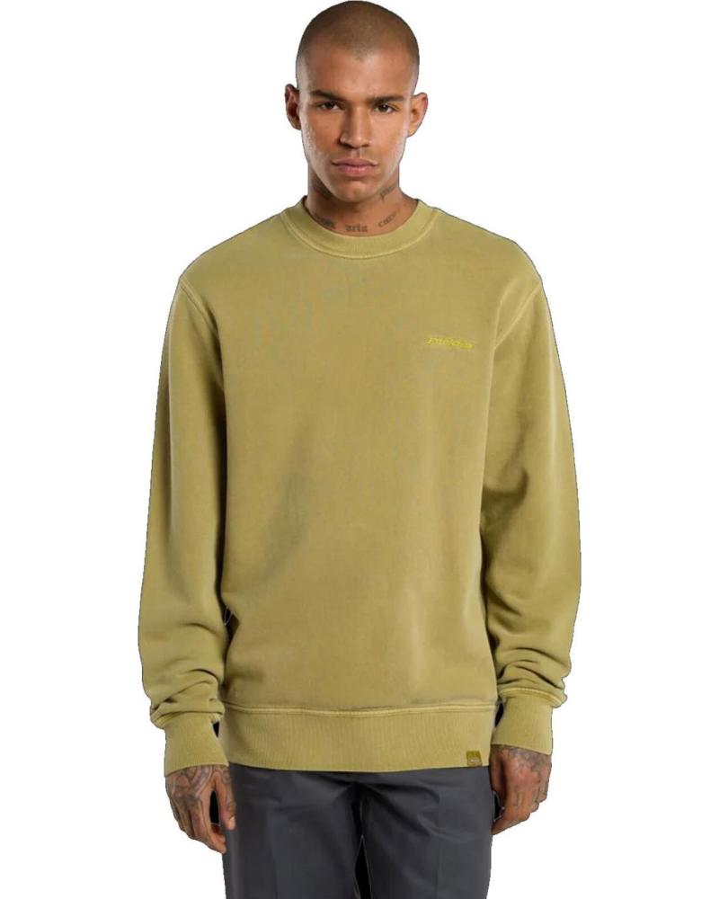 DICKIES SUDADERA PLENTYWOOD SWEATSHIRT EVERGREEN SPRIG NAN