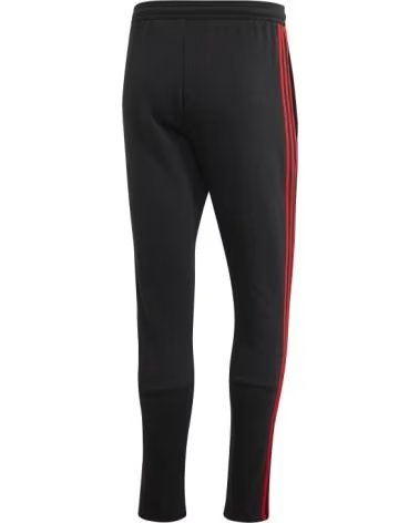 PANTALON DE SPORT ADIDAS FEF 3S FI6300 MULTICOLOR