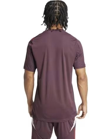ADIDAS FC BAYERN MONACO MAGLIA 2024-25 ADIS9935 MULTICOLOR