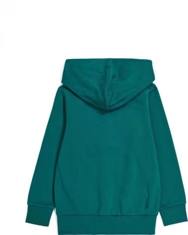 CHAMPION CHAMPION AUTHENTIC KAPUZENPULLOVER FÜR JUNGEN UNISEX GRÜN VERDE