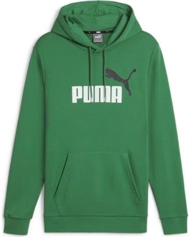 PUMA PUMA ESSENTIALS LOGO KAPUZENPULLOVER FÜR HERREN VERDE