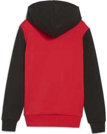 PUMA SUDADERA CON CAPUCHA EN PARA HOMBRE MULTICOLOR