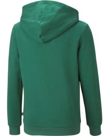 PUMA MOLETOM COM CAPUZ PUMA COLORBLOCK INFANTIL VERDE
