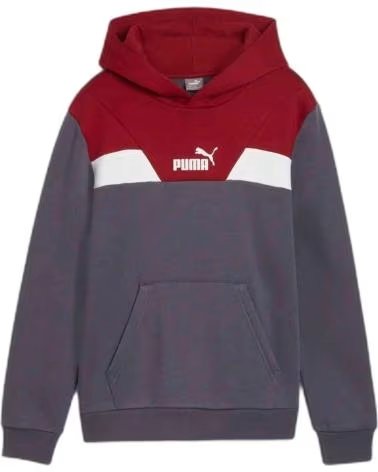 PUMA SWEAT À CAPUCHE PUMA COLORBLOCK POUR ENFANTS GRIS