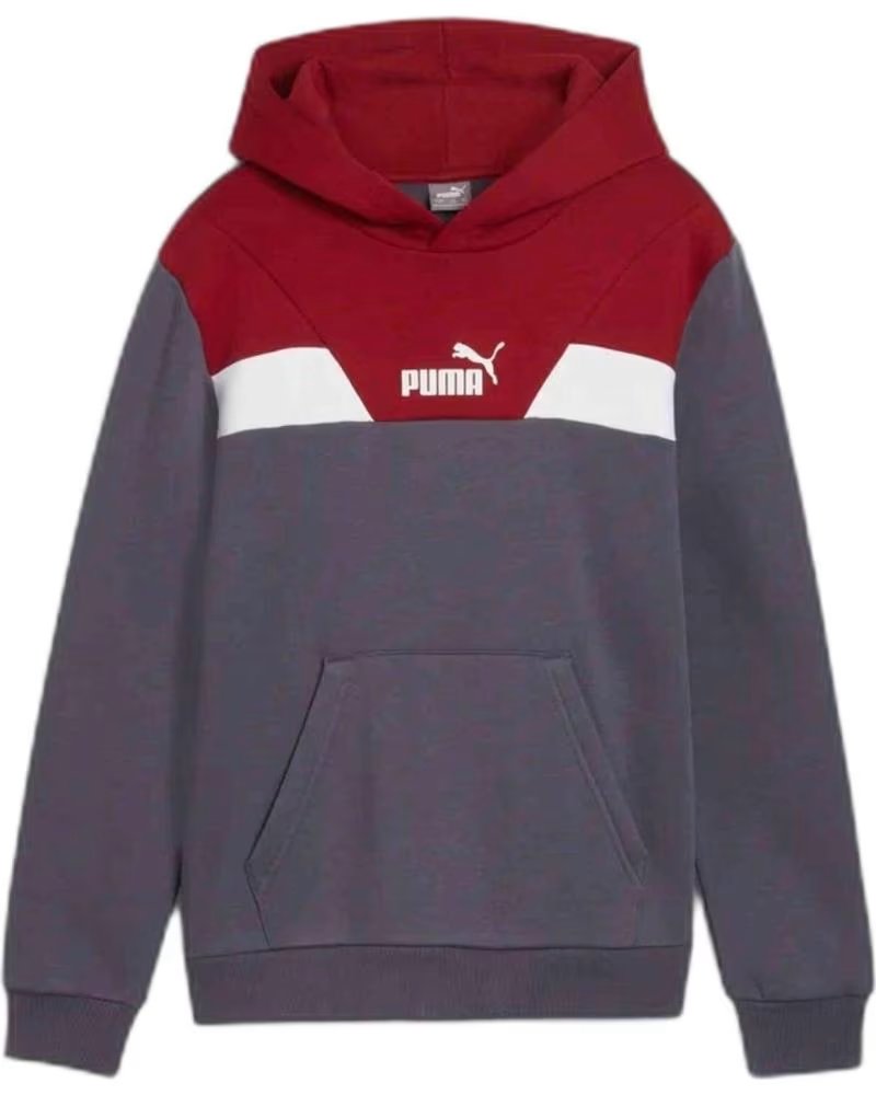 PUMA SWEAT À CAPUCHE PUMA COLORBLOCK POUR ENFANTS GRIS