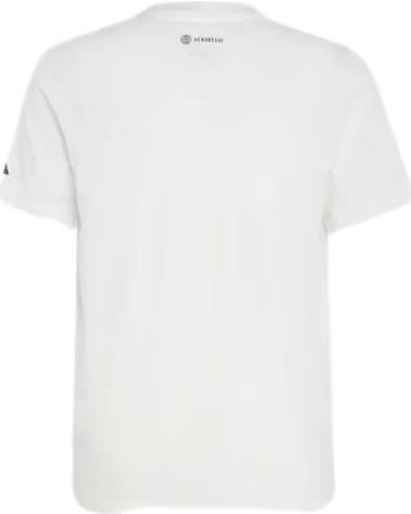 Sapatilhas de Menina e Menino ADIDAS CAMISETA ADIDAS B HIIT GFX TEE PARA MENINA E MENINO BLANCO