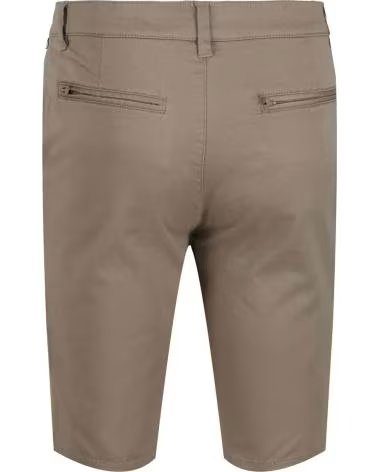 REGATTA REGATTA HERREN CARGOSHORTS MARRON