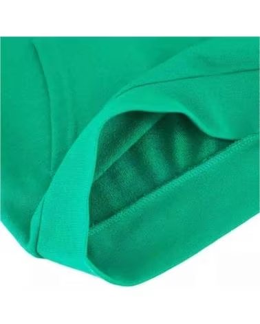 CHAMPION CHAMPION KAPUZENPULLOVER FÜR JUNGEN GRÜN VERDE