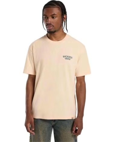 DICKIES T-SHIRT DICKIES A MANICHE CORTE DA UOMO BEIGE