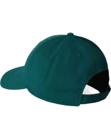 THE NORTH FACE GORRA THE NORTH FACE VERDE PARA HOMBRE VERDE