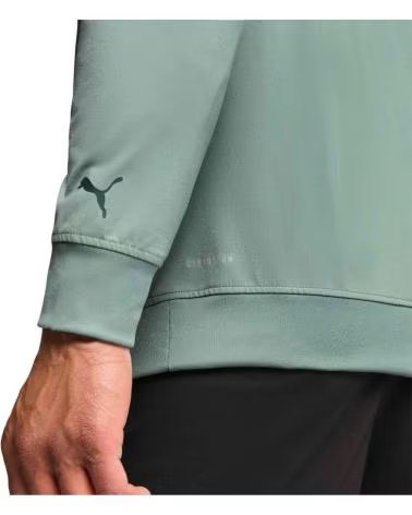 PUMA SWEAT À CAPUCHE PUMA ESSENTIALS POUR HOMME VERDE