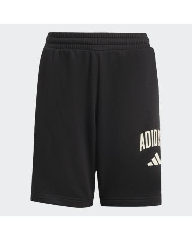 ADIDAS SEASONAL COLLEGIATE TYPOGRAPHY VARIOS COLORES