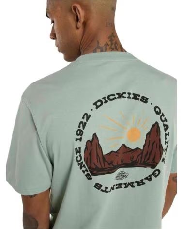 DICKIES CAMISETA DE MANGA CORTA OUTDOOR EN PARA HOMBRE VERDE