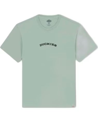 DICKIES CAMISETA DE MANGA CORTA OUTDOOR EN PARA HOMBRE VERDE