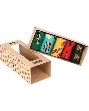 Inizio-JIMMY-LION-CALCETINES-EN-COLOR-PARA-NINOS-MULTICOLOR