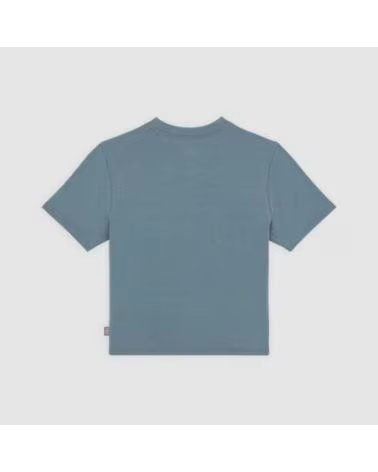DICKIES MAGLIETTA DK0A4Z8F CENTER LOGO G701