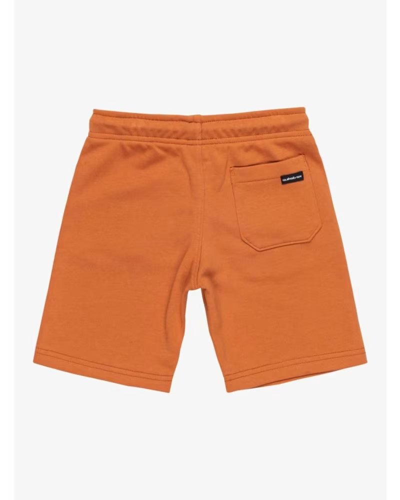 QUICKSILVER PANTALON CORTO QUIKSILVER 077-50554611892563 EN GRIS PARA HO NARANJA