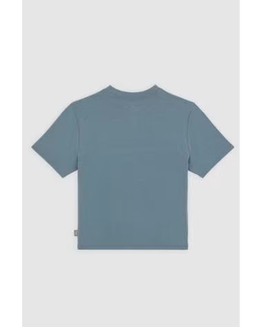 DICKIES MAGLIETTA DK0A4Z8F CENTER LOGO G701