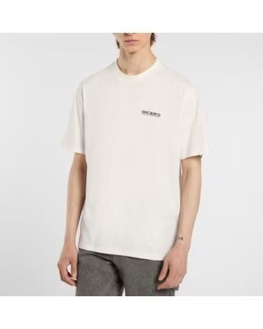 DICKIES CAMISETA DE MANGA CORTA DK0A87QIC481 EN PARA HOMBRE BEIGE