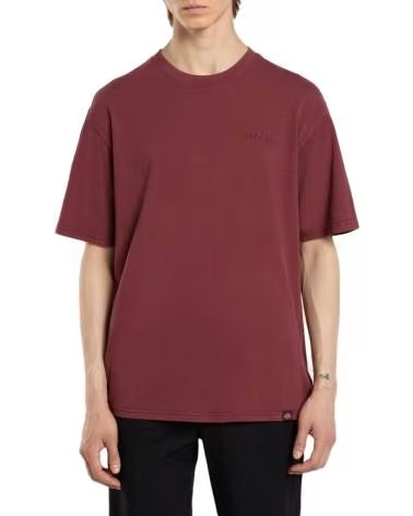 DICKIES T-SHIRT A MANICHE CORTE PLENTYWOOD NAN