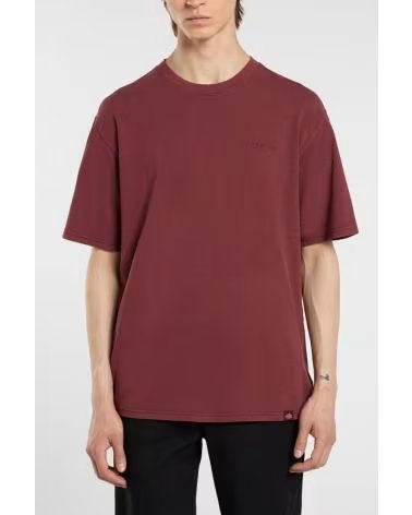 DICKIES T-SHIRT A MANICHE CORTE PLENTYWOOD NAN