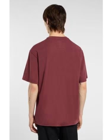 DICKIES T-SHIRT A MANICHE CORTE PLENTYWOOD NAN