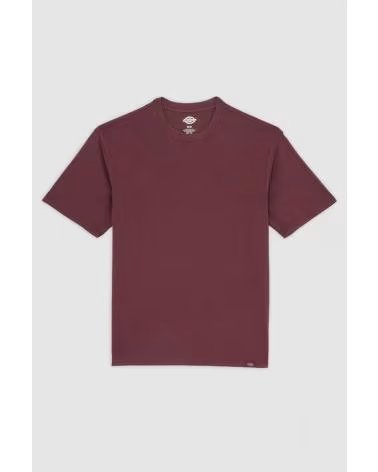 DICKIES T-SHIRT A MANICHE CORTE PLENTYWOOD NAN