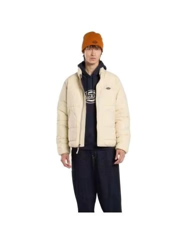 DICKIES Sudadera Con Capucha Dk0A88L4L181 en azul para hombre NIGHT SKY