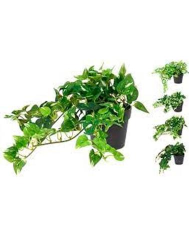 PROGARDEN PLANTA ARTIFICIAL COLGANTE PROGARDEN MULTICOLOR