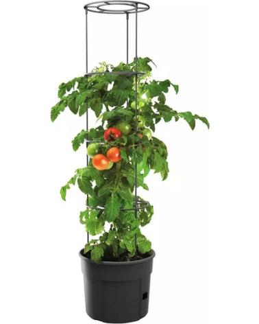 PROGARDEN TUTOR PARA PLANTAS TREPADORAS CON MACETA INTEGRADA MULTICOLOR
